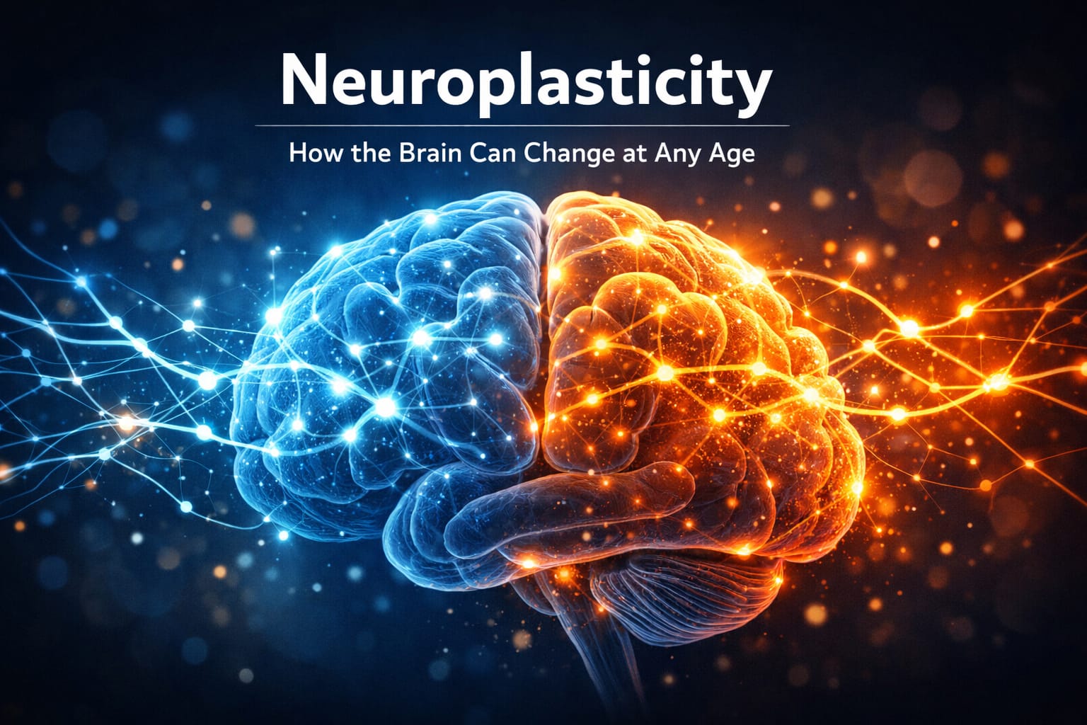 Neuroplasticity: 10 Scientific Discoveries Showing How the Brain Can Change at Any Age